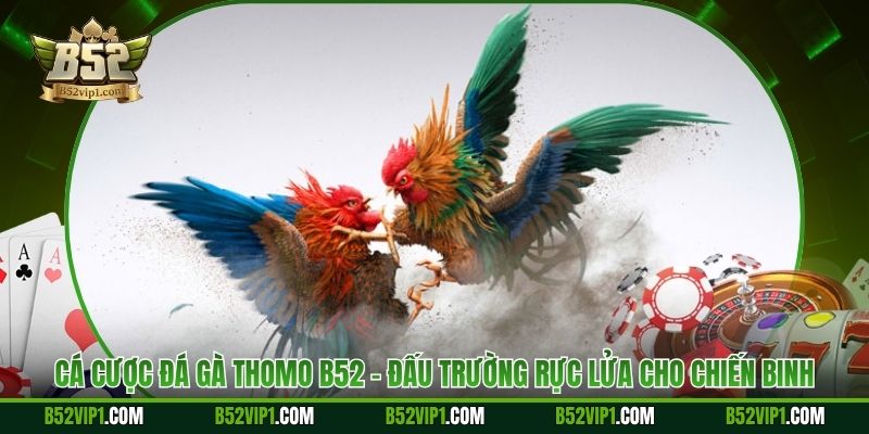 Cá Cược Đá Gà Thomo B52 - Đấu Trường Rực Lửa Cho Chiến Binh