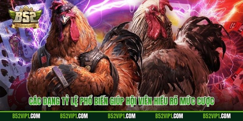 Các dạng tỷ lệ phổ biến giúp hội viên hiểu rõ mức cược