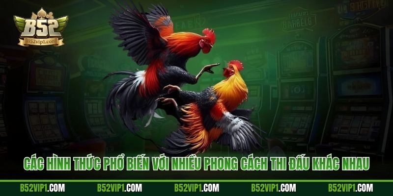Các hình thức phổ biến với nhiều phong cách thi đấu khác nhau