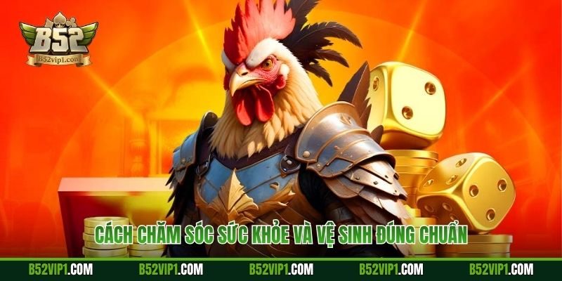Cách chăm sóc sức khỏe và vệ sinh đúng chuẩn