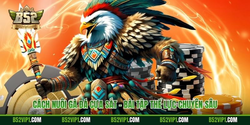 Cách nuôi gà đá cựa sắt - Bài tập thể lực chuyên sâu