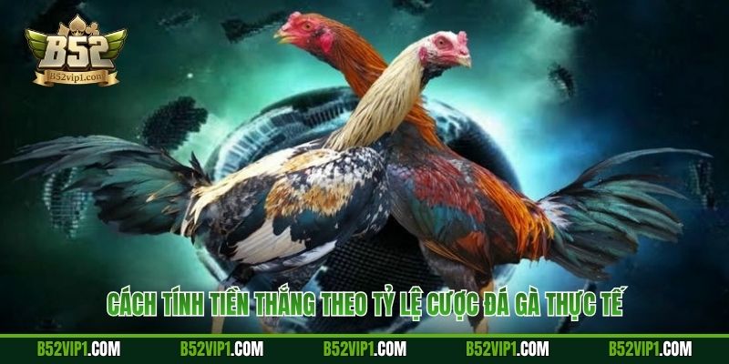 Cách tính tiền thắng theo tỷ lệ cược đá gà thực tế