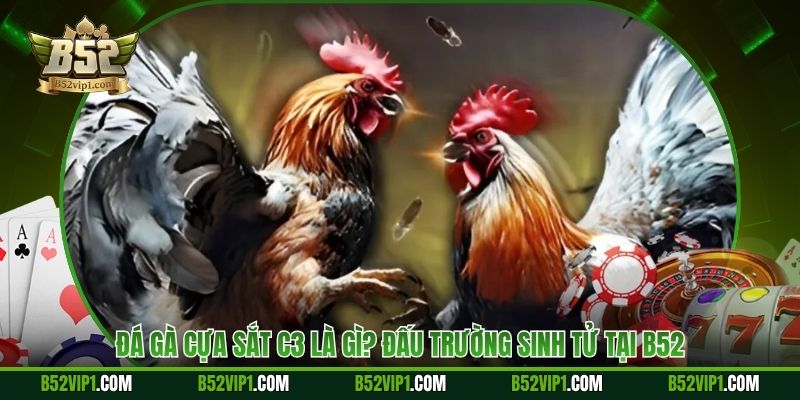 Đá Gà Cựa Sắt C3 Là Gì? Đấu Trường Sinh Tử Tại B52