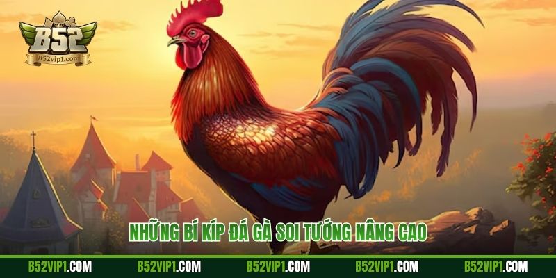 Những bí kíp đá gà soi tướng nâng cao