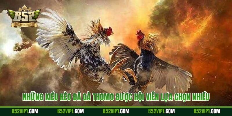 Những kiểu kèo đá gà Thomo được hội viên lựa chọn nhiều