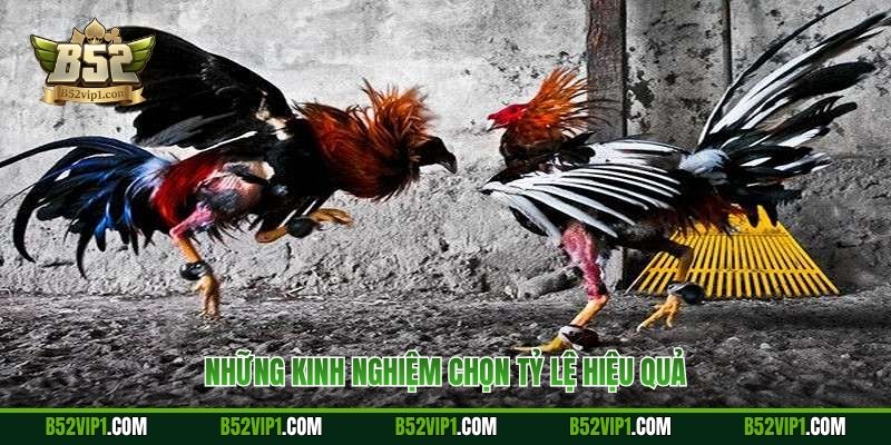 Những kinh nghiệm chọn tỷ lệ hiệu quả