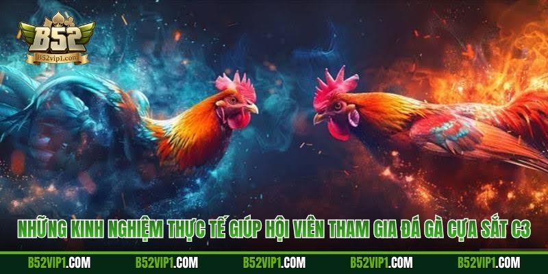 Những kinh nghiệm thực tế giúp hội viên tham gia đá gà cựa sắt C3