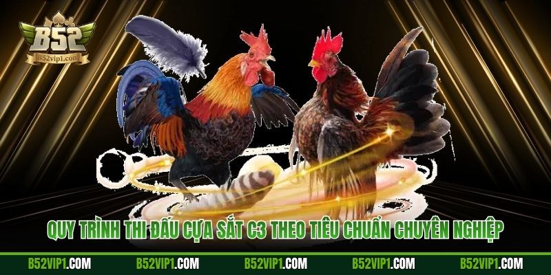 Quy trình thi đấu cựa sắt C3 theo tiêu chuẩn chuyên nghiệp