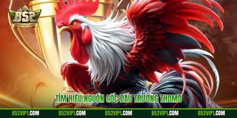 Tìm hiểu nguồn gốc đấu trường Thomo