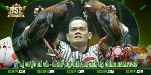 Tỷ Lệ Cược Đá Gà - Bí Kíp Đọc Kèo Ăn Tiền Tại Cổng Game B52